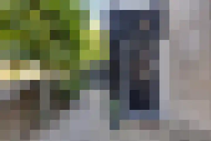 Dorpsstraat 38 Lienden thumbnail 9