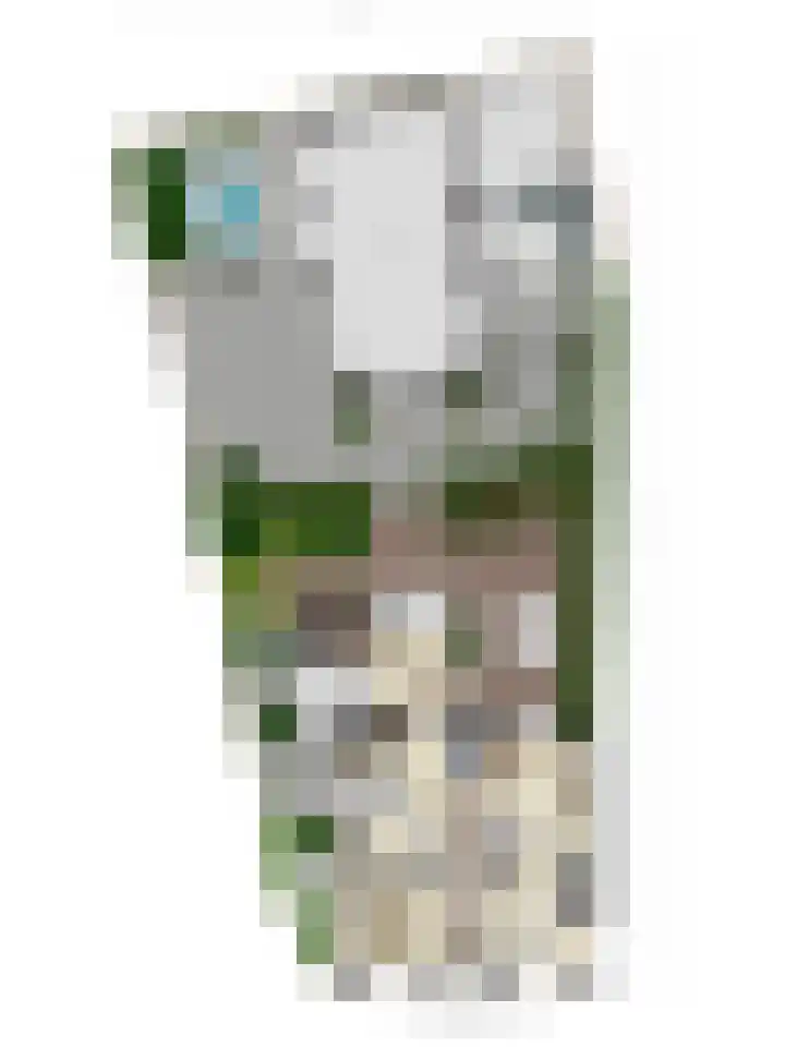 Dorpsstraat 38 Lienden thumbnail 91