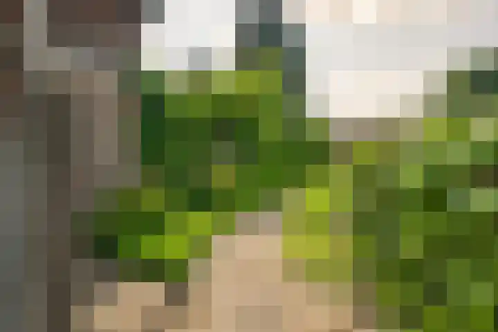 Dorpsstraat 38 Mheer thumbnail 11