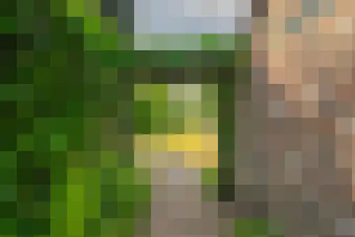 Dorpsstraat 38 Mheer thumbnail 12
