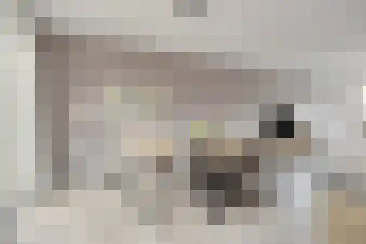 Dorpsstraat 38 Nispen thumbnail 10