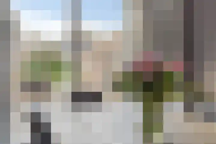Dorpsstraat 38 Nispen thumbnail 11