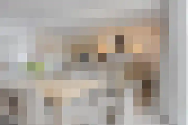 Dorpsstraat 38 Nispen thumbnail 13