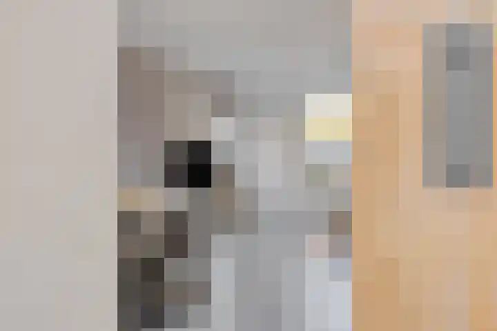 Dorpsstraat 38 Nispen thumbnail 21