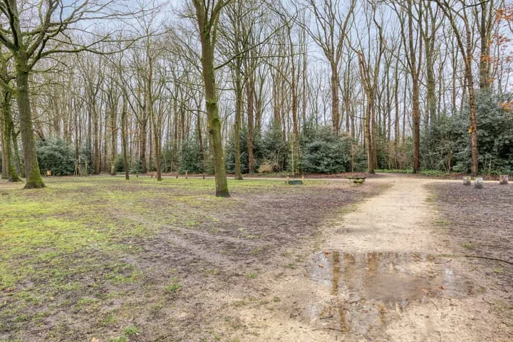 Dorpsstraat 38 Nispen thumbnail 46