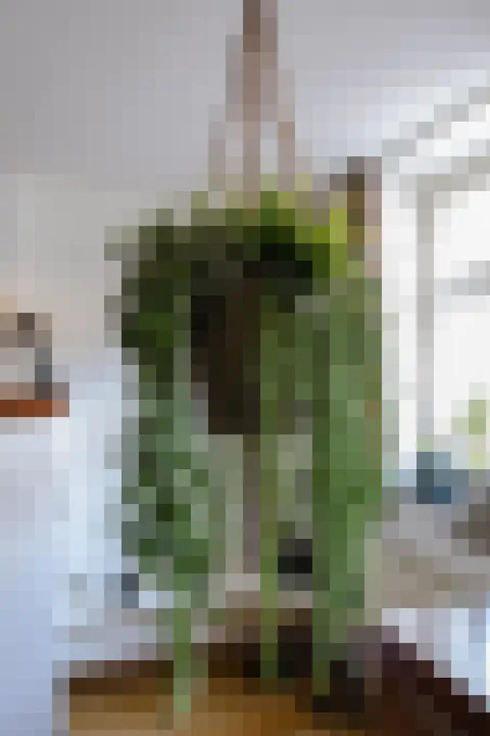 Dorpsstraat 39 Cadier en Keer thumbnail 16