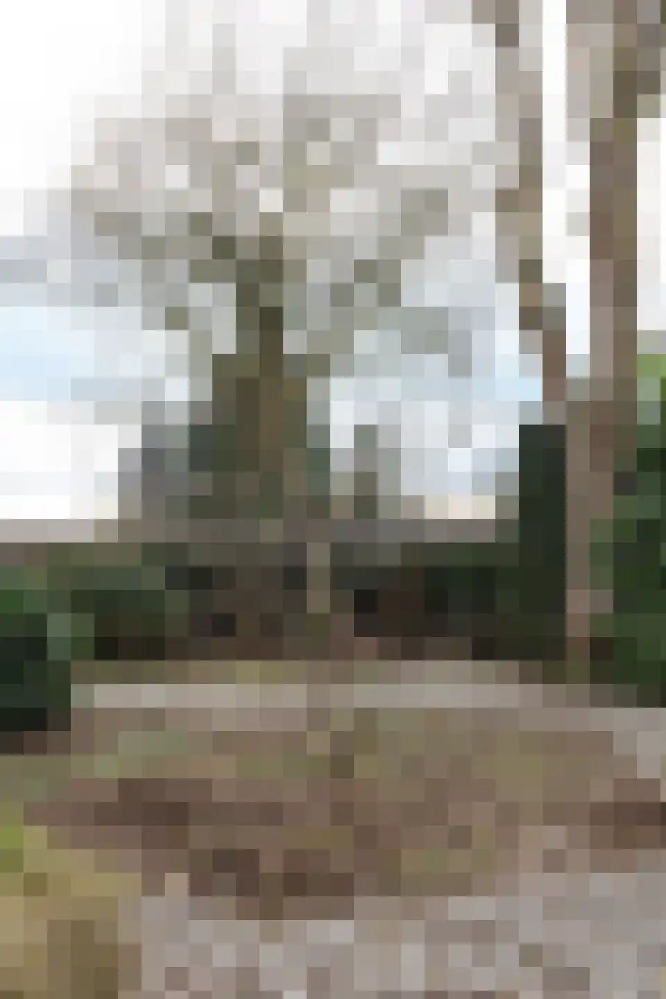 Dorpsstraat 39 Cadier en Keer thumbnail 42