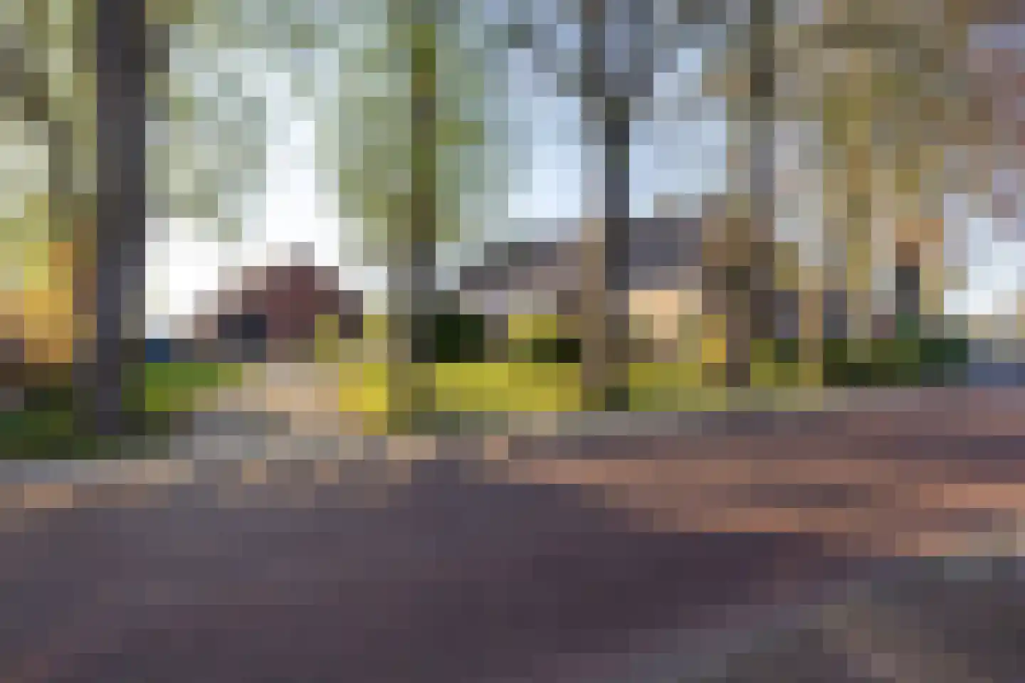 Dorpsstraat 39 Emmen thumbnail 5