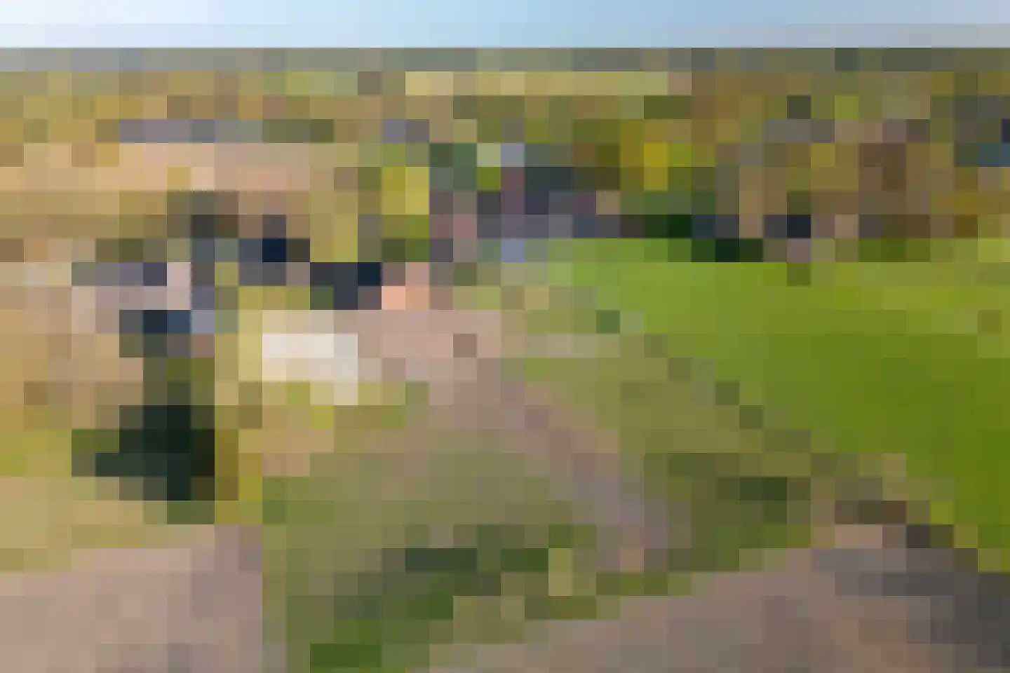 Dorpsstraat 39 Emmen thumbnail 75