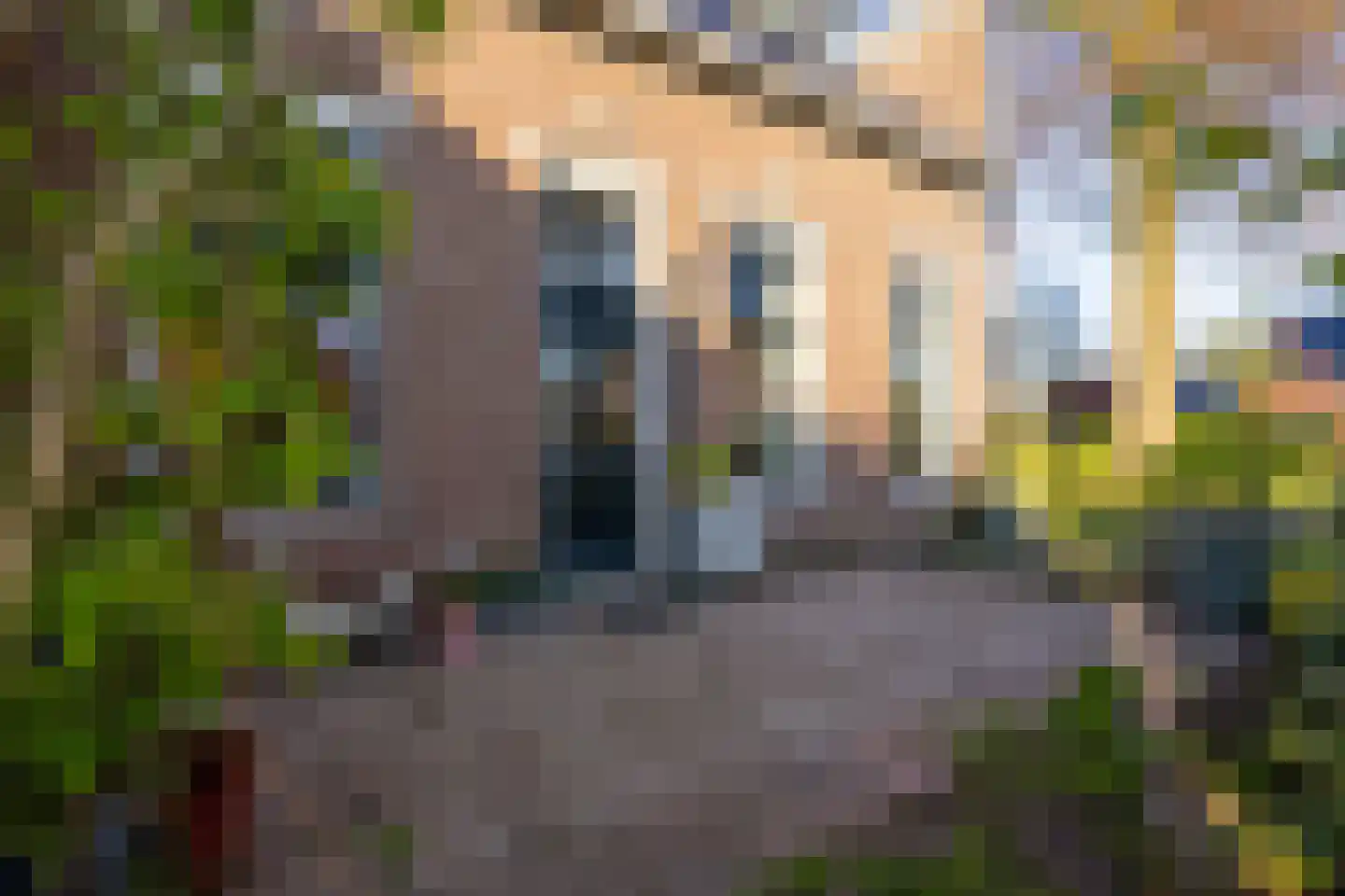 Dorpsstraat 39 Emmen thumbnail 9