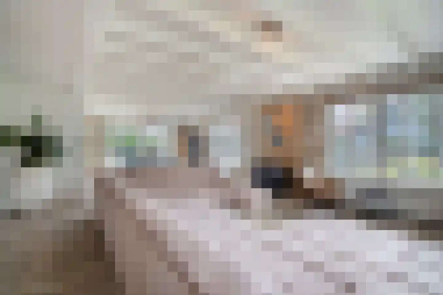 Dorpsstraat 39 Haringhuizen thumbnail 18