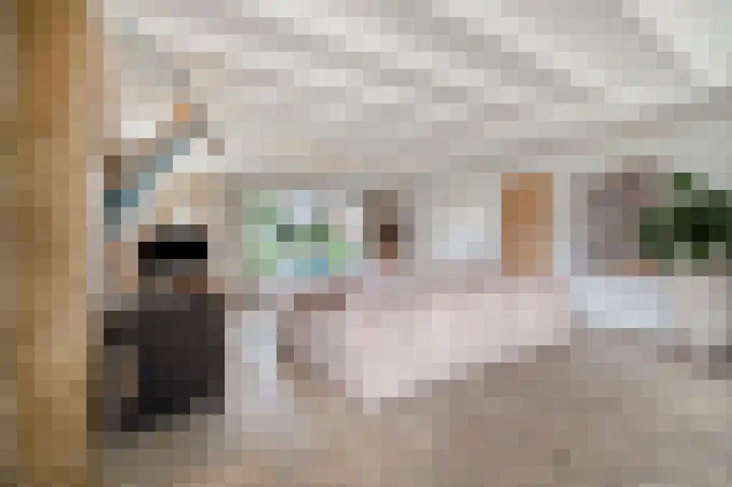 Dorpsstraat 39 Haringhuizen thumbnail 19