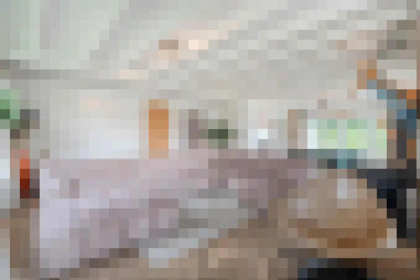 Dorpsstraat 39 Haringhuizen thumbnail 20