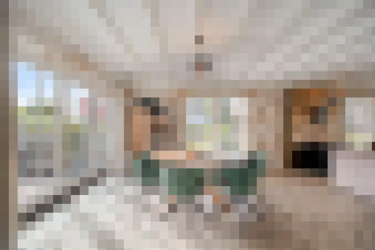 Dorpsstraat 39 Haringhuizen thumbnail 21