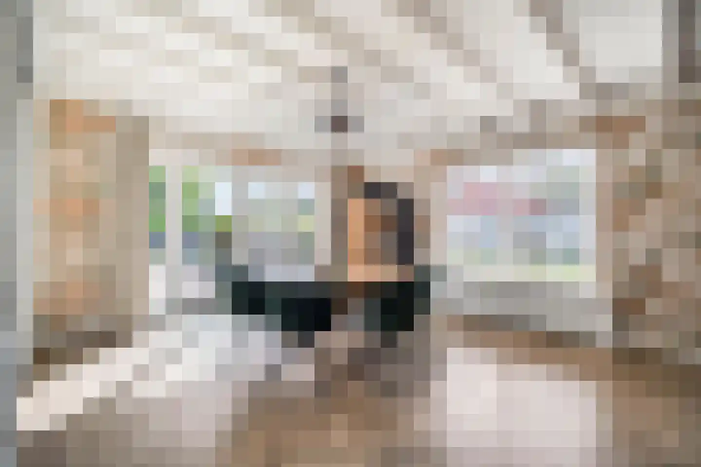 Dorpsstraat 39 Haringhuizen thumbnail 23