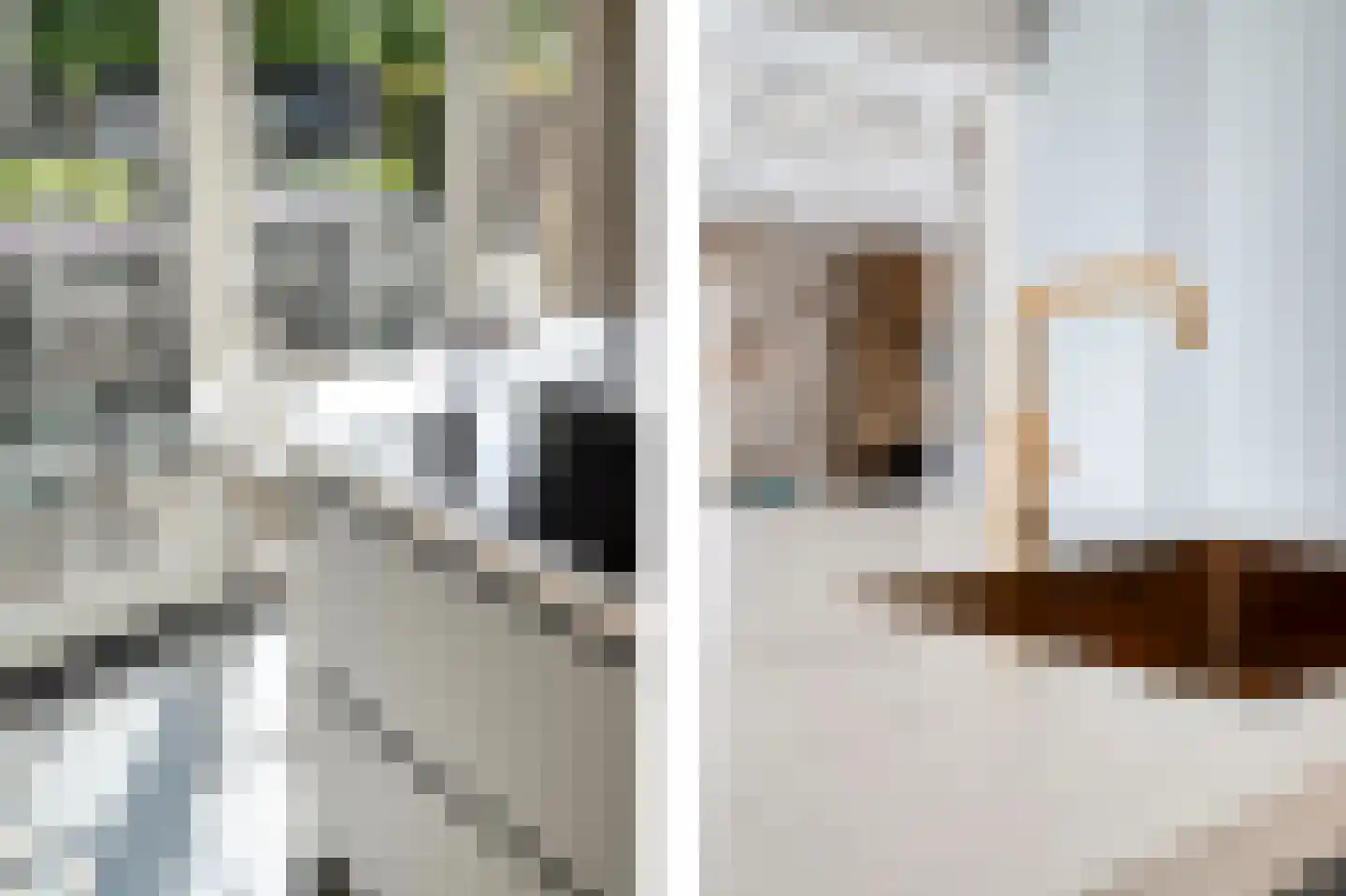 Dorpsstraat 39 Haringhuizen thumbnail 28