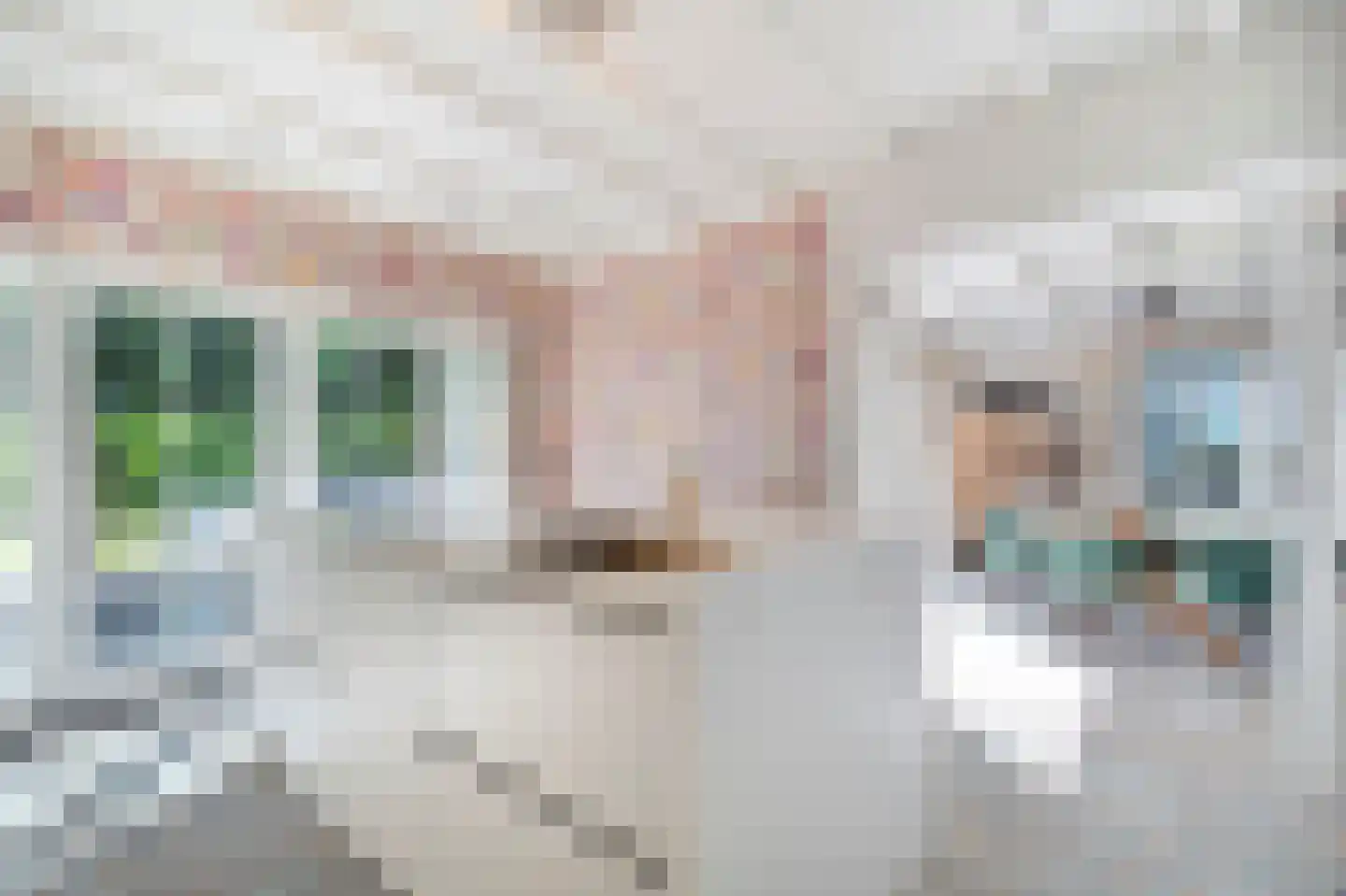 Dorpsstraat 39 Haringhuizen thumbnail 30