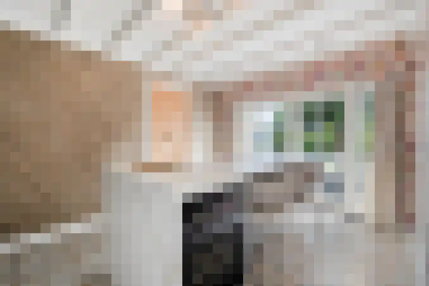 Dorpsstraat 39 Haringhuizen thumbnail 31