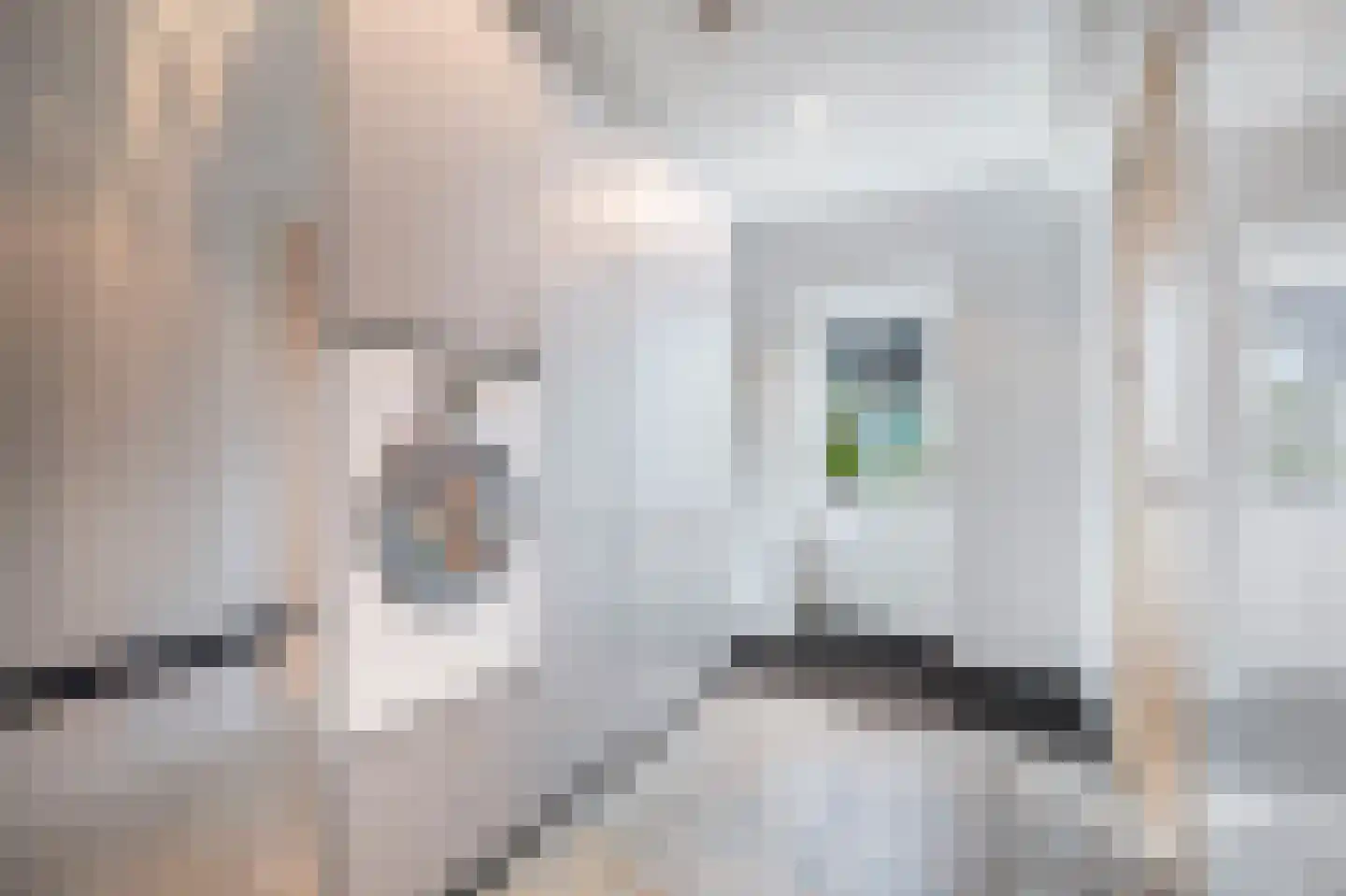 Dorpsstraat 39 Haringhuizen thumbnail 34