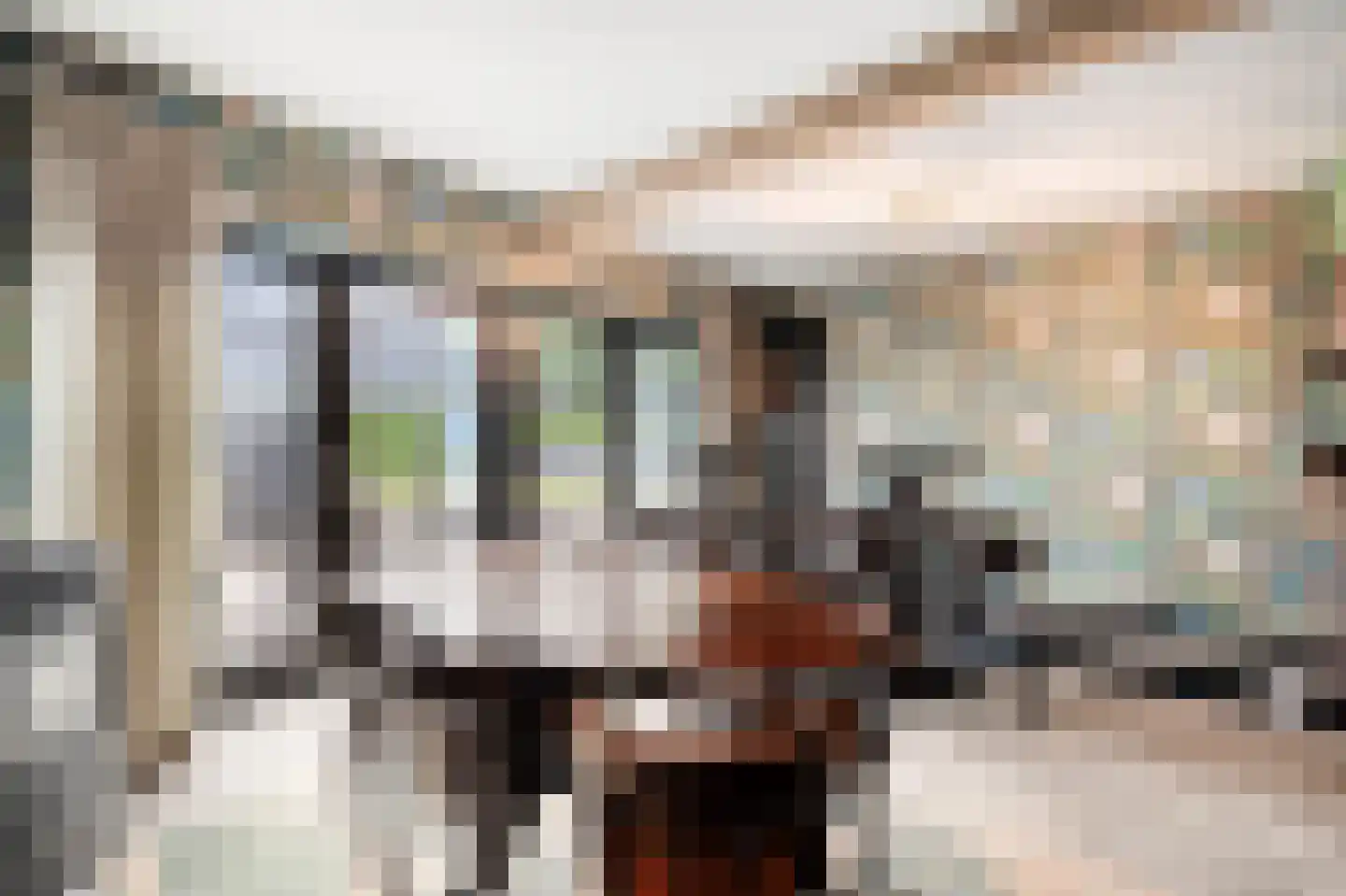 Dorpsstraat 39 Haringhuizen thumbnail 36