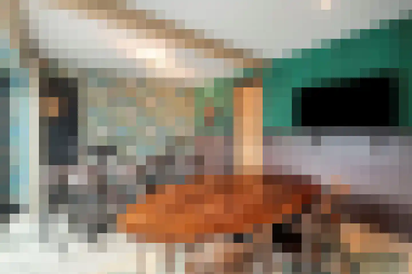 Dorpsstraat 39 Haringhuizen thumbnail 37