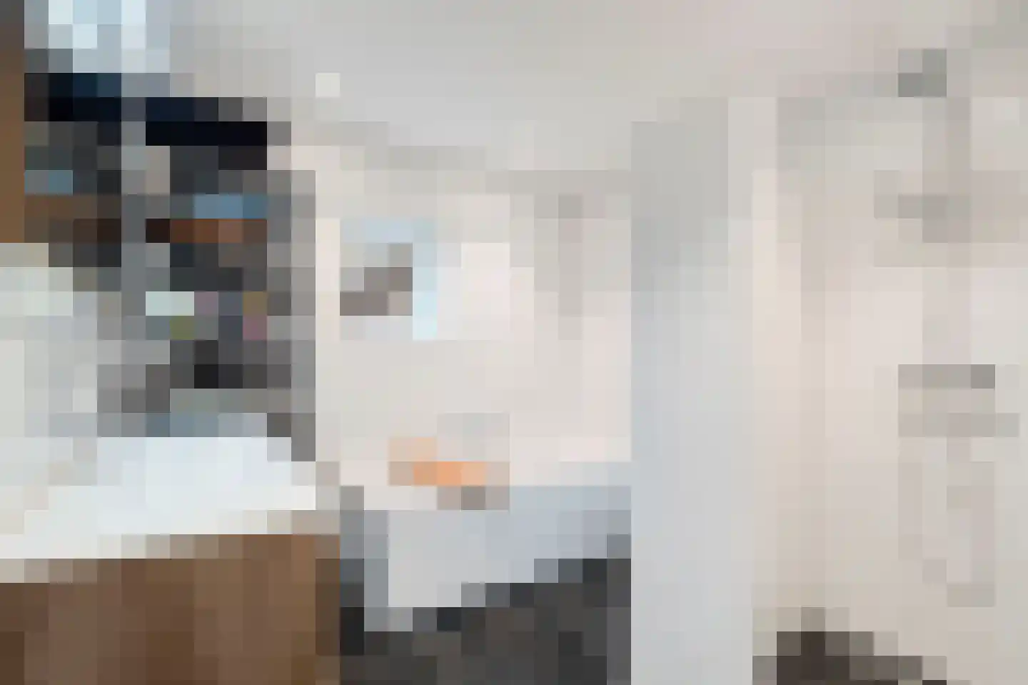 Dorpsstraat 39 Haringhuizen thumbnail 47