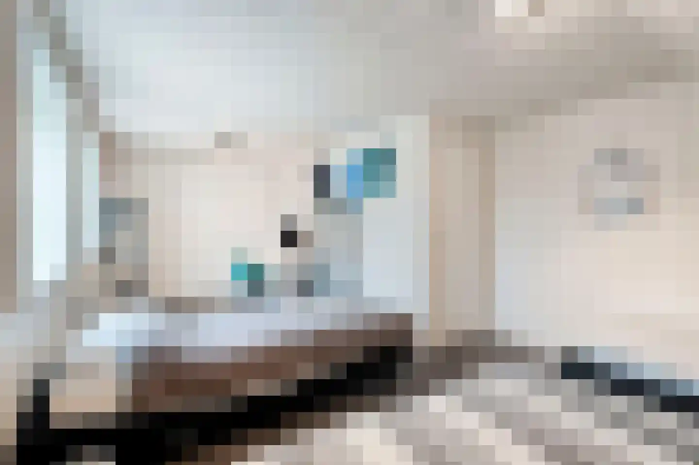 Dorpsstraat 39 Haringhuizen thumbnail 52