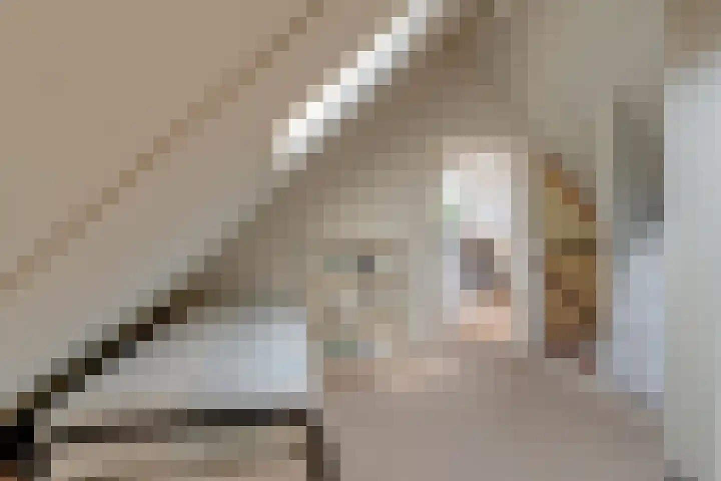Dorpsstraat 39 Houten thumbnail 38