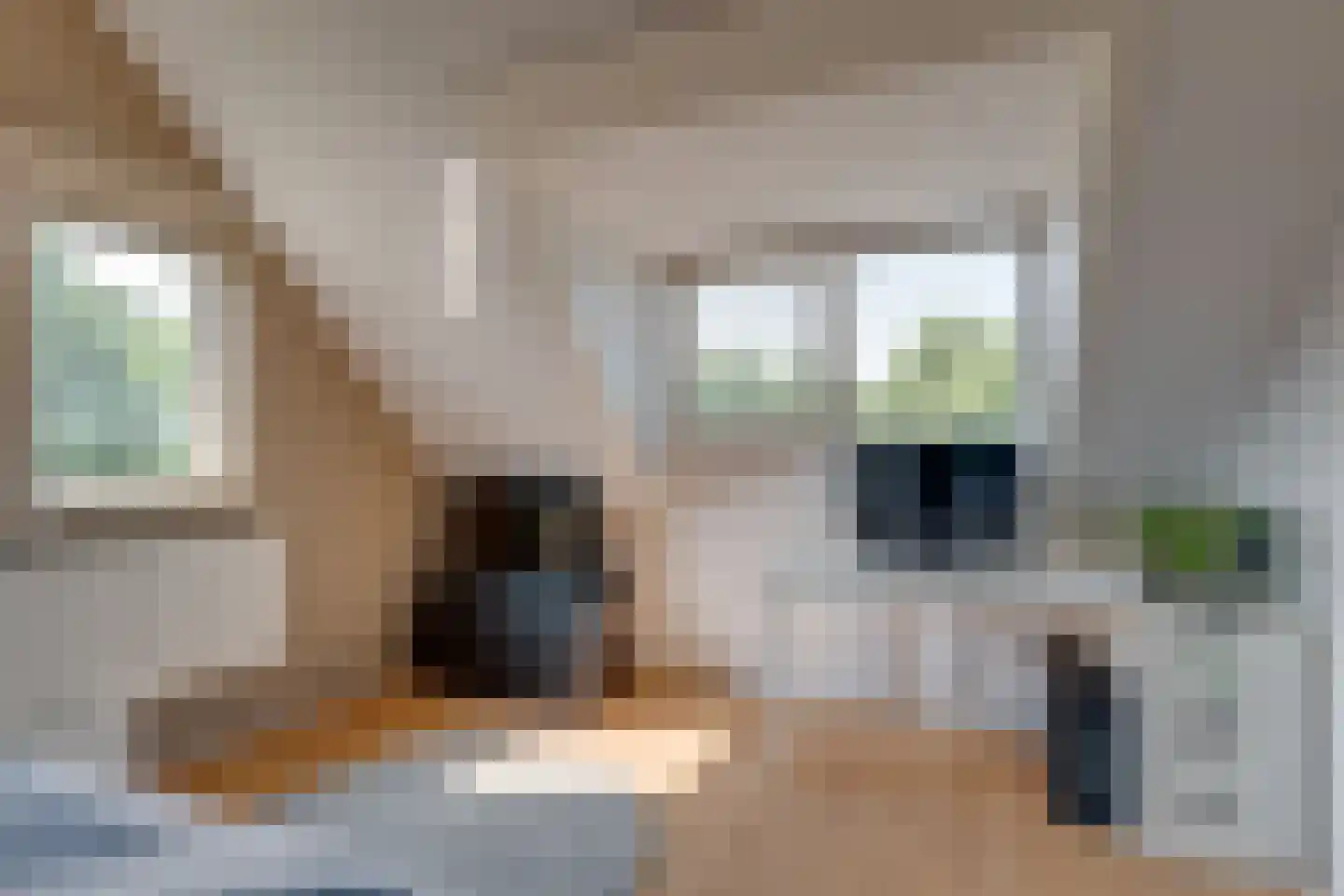 Dorpsstraat 39 Houten thumbnail 40