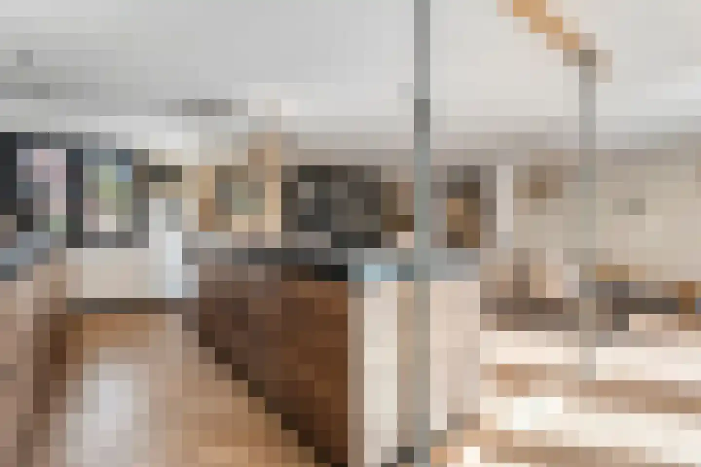 Dorpsstraat 39 Lattrop-Breklenkamp thumbnail 11