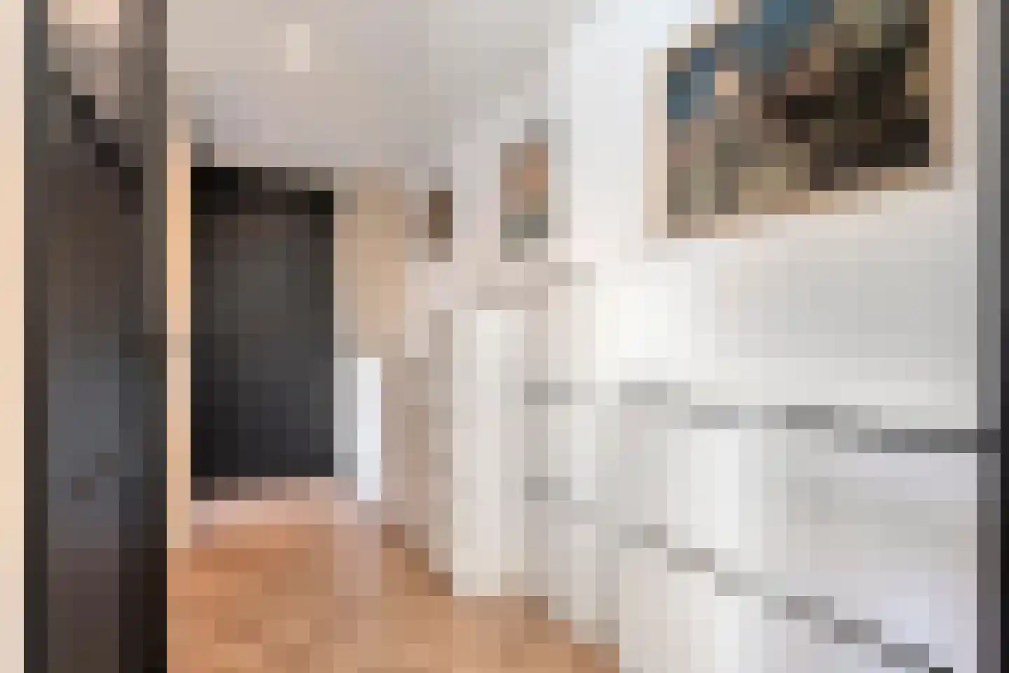 Dorpsstraat 39 Lattrop-Breklenkamp thumbnail 15