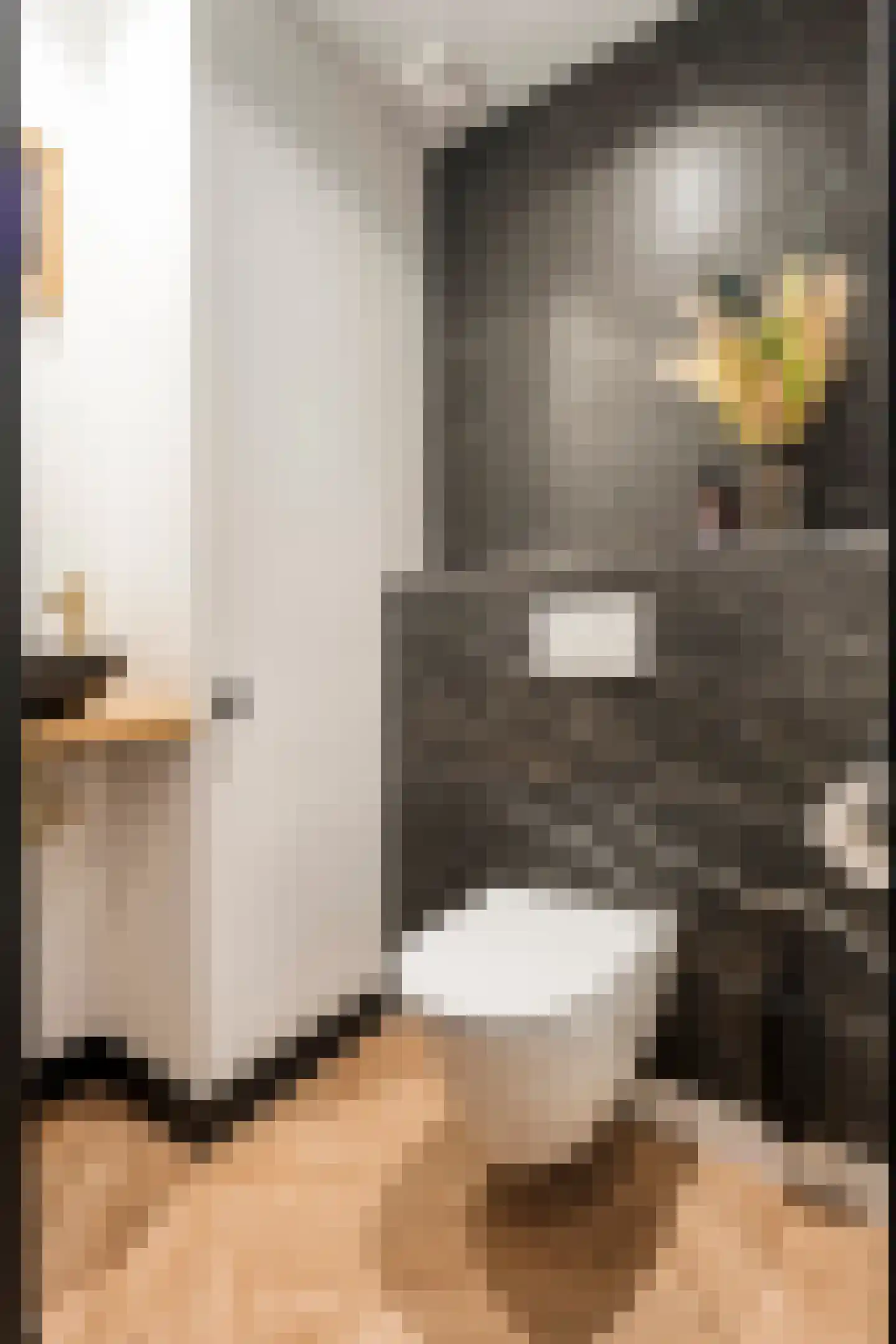 Dorpsstraat 39 Lattrop-Breklenkamp thumbnail 16