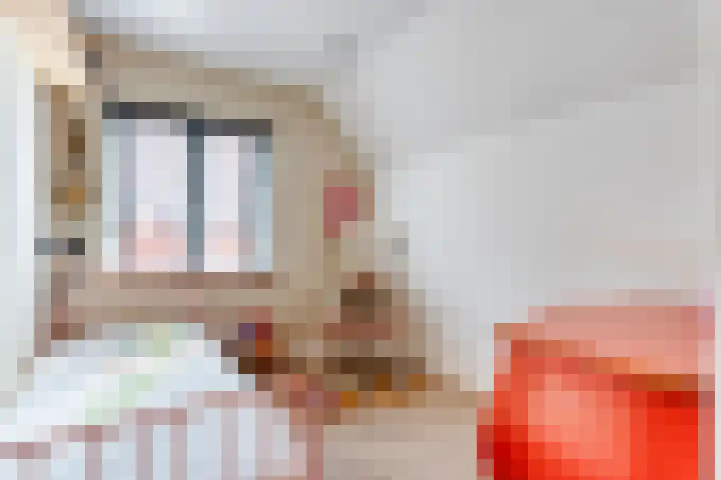 Dorpsstraat 39 Lattrop-Breklenkamp thumbnail 24