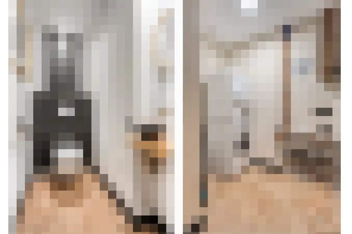 Dorpsstraat 39 Lattrop-Breklenkamp thumbnail 6
