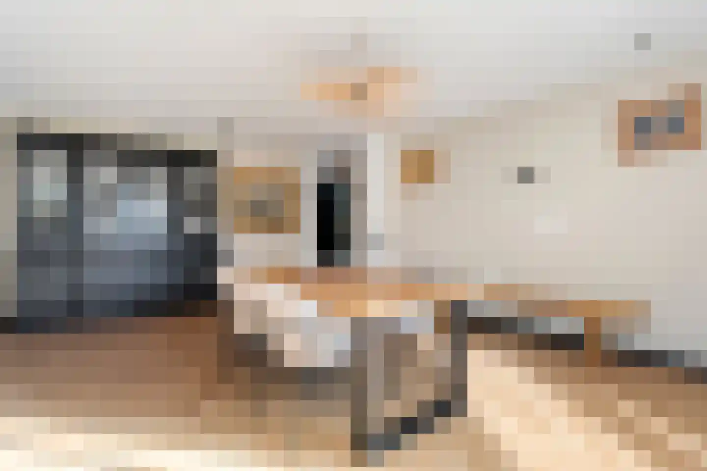 Dorpsstraat 39 Lattrop-Breklenkamp thumbnail 7