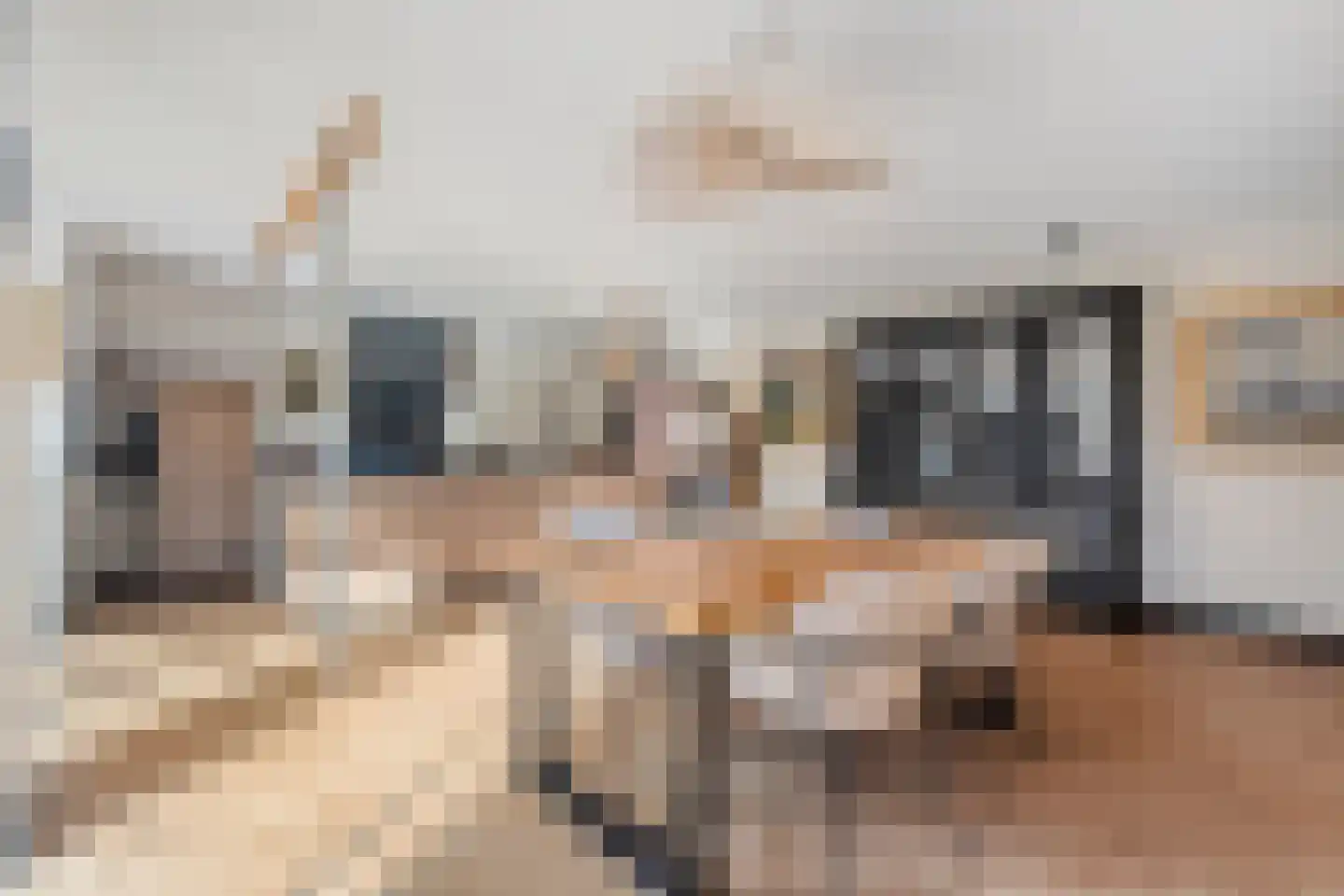 Dorpsstraat 39 Lattrop-Breklenkamp thumbnail 8