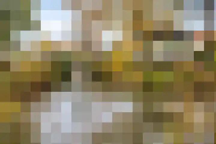 Dorpsstraat 39 Zieuwent thumbnail 11
