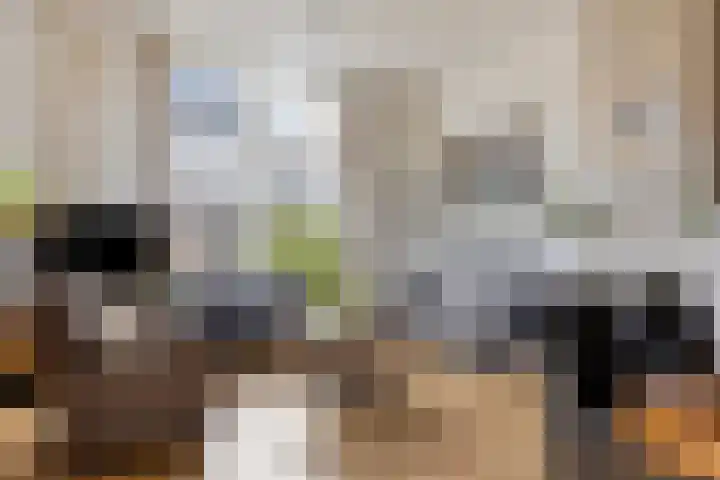 Dorpsstraat 39 Zieuwent thumbnail 31