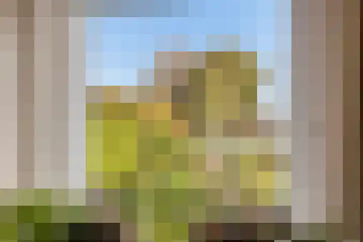 Dorpsstraat 39 Zieuwent thumbnail 32