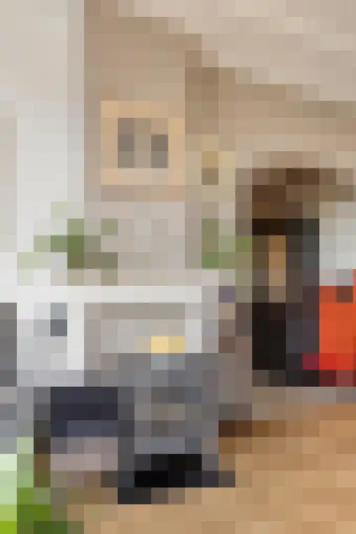 Dorpsstraat 39 Zieuwent thumbnail 33