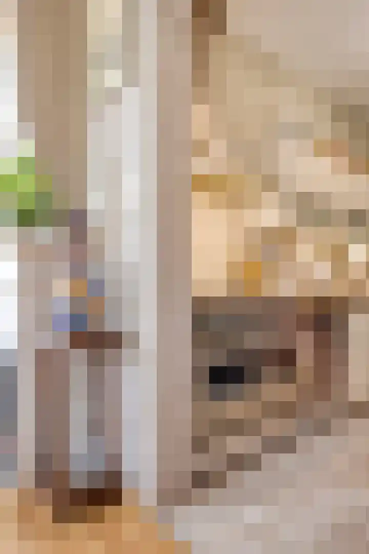 Dorpsstraat 39 Zieuwent thumbnail 34