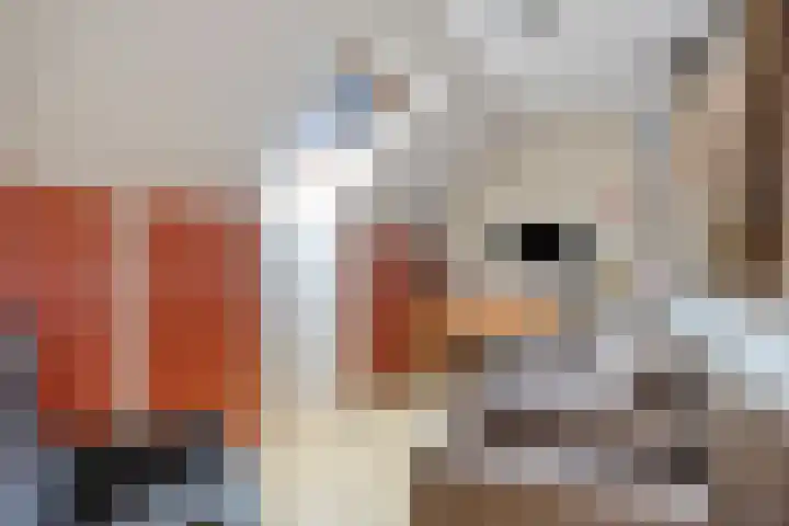 Dorpsstraat 39 Zieuwent thumbnail 44