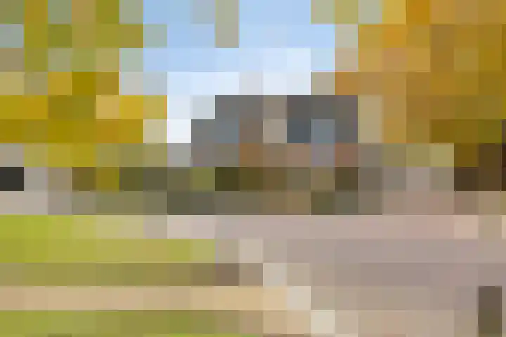 Dorpsstraat 39 Zieuwent thumbnail 5