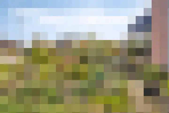 Dorpsstraat 39 Zieuwent thumbnail 8