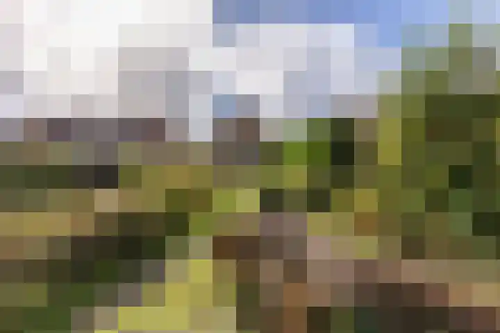 Dorpsstraat 391 Wormer thumbnail 18