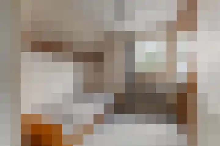 Dorpsstraat 391 Wormer thumbnail 21