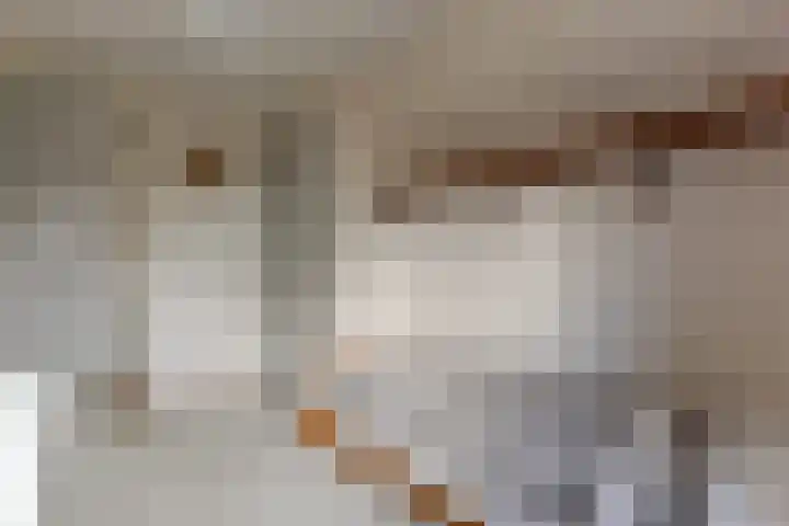 Dorpsstraat 391 Wormer thumbnail 22