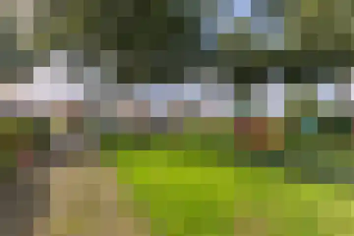 Dorpsstraat 391 Wormer thumbnail 31