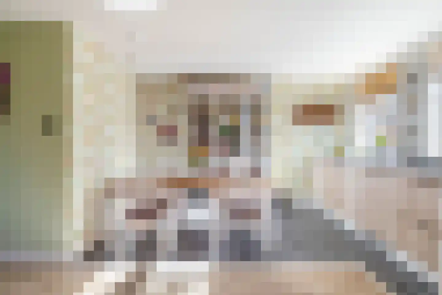 Dorpsstraat 399 Assendelft thumbnail 20