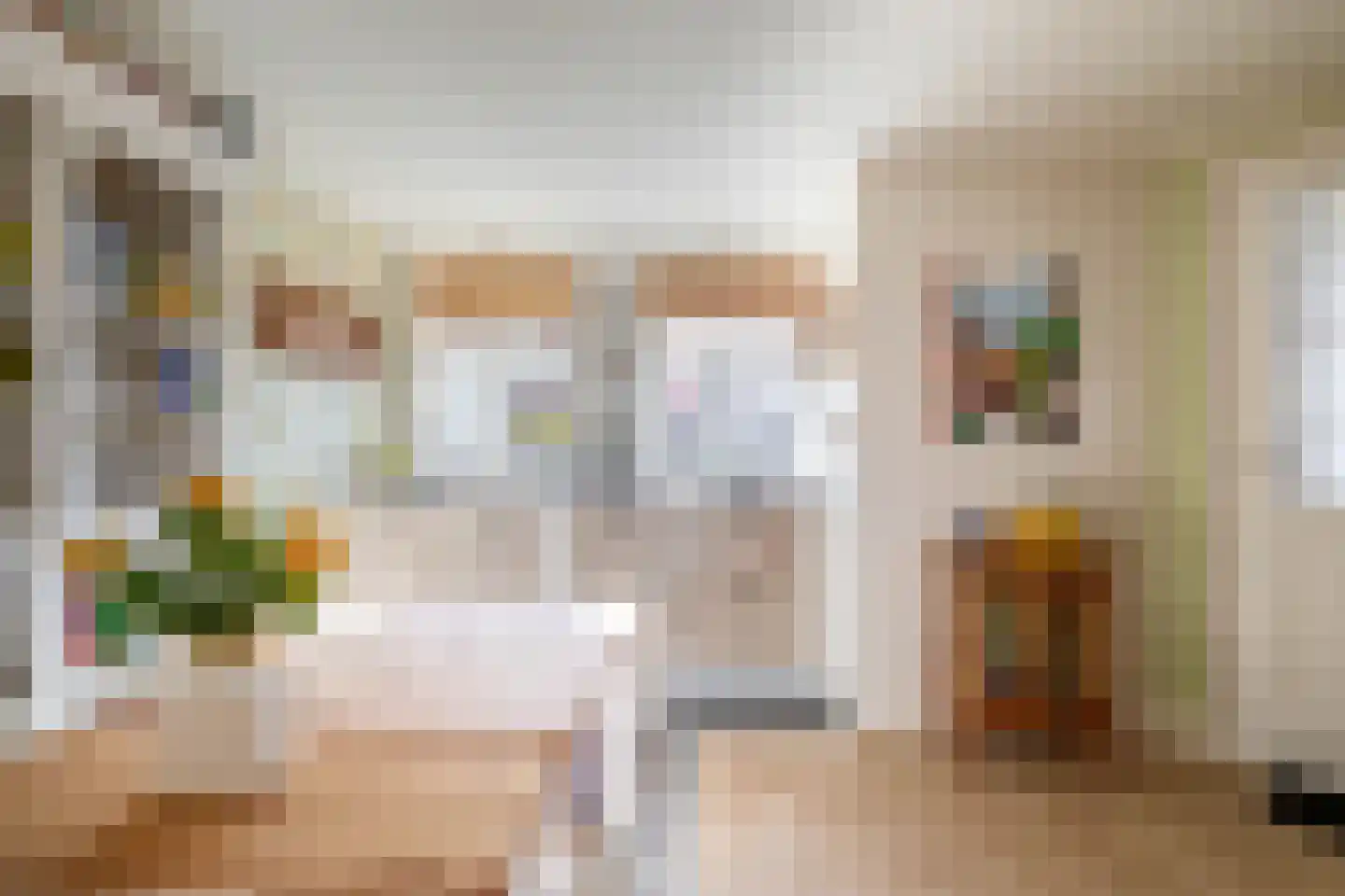 Dorpsstraat 399 Assendelft thumbnail 22
